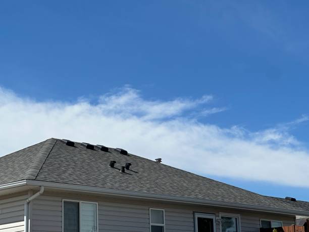 Best Asphalt Shingles Roofing  in Newburgh Heights, OH